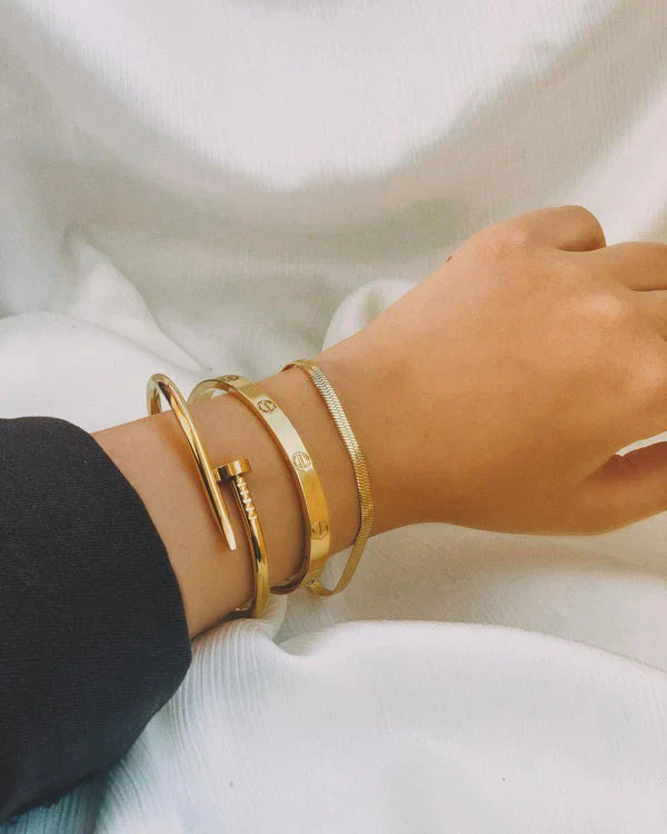 Cartier Nail And Love Bangle With Snake Chain Bracelet